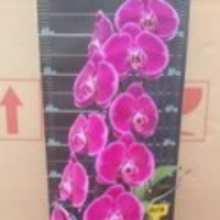 11f938f5767c.png