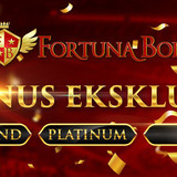 Bonus Level Fortunabola