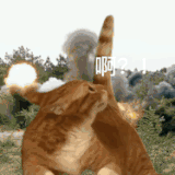 QQ图片20230305134959.gif