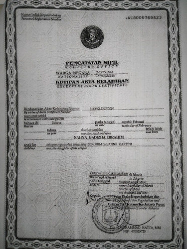 scaled 67f13962 7e1a 4e64 a789 7980831c5fb64759408774707162522.jpg