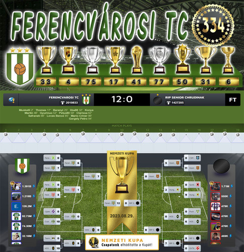 Nemzeti Kupa 136.Szezon Dönto (334.Kupa).jpg