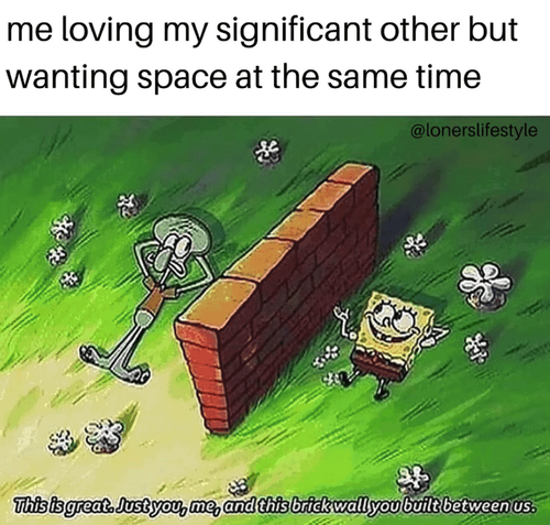 space at same time home se lonerslifestyle this is great just and this brick wall built between us.png