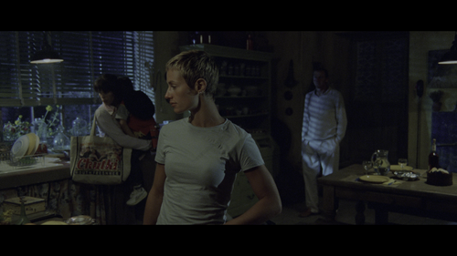 High.Tension.2003.UHD.BluRay.2160p.DTS-HD.MA.7.1.DV.HEVC.HYBRID.REMUX-FraMeSToR.mkv_000709626.png