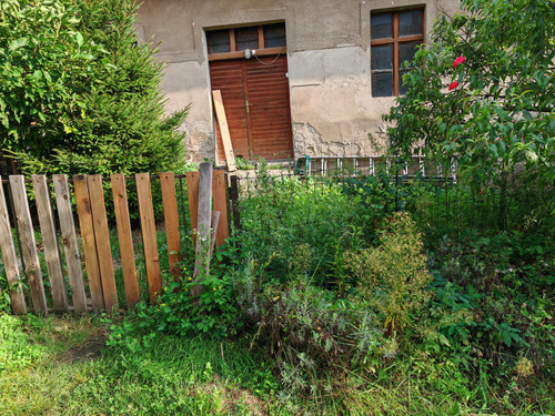 IMG 20230829 170101.jpg