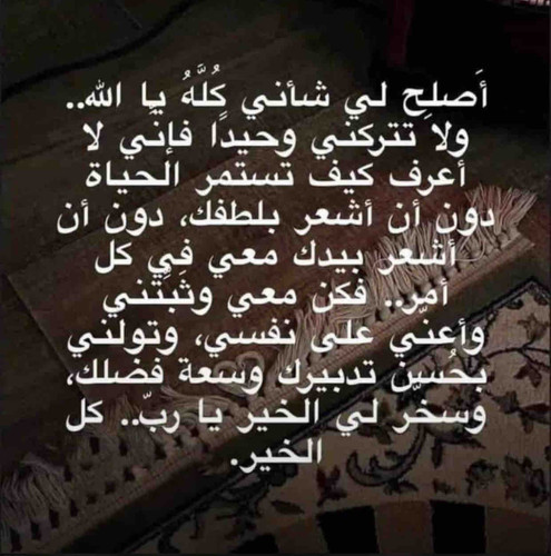 9583638F E004 454D 9A52 72A711BAD780.jpg