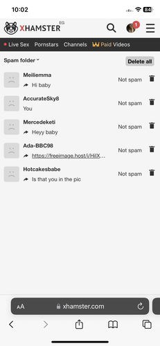 IMG 0094.png