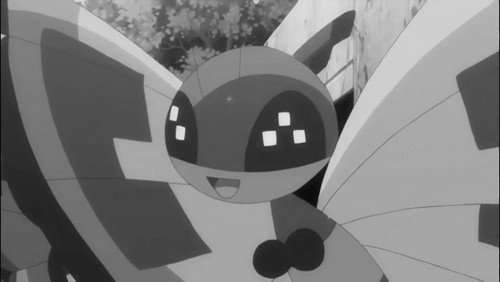 Sun Pattern Vivillon (Thunderstorm Incoming).jpg
