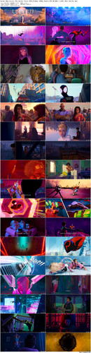 Spider Man.Across.The.Spider Verse.2023.BluRay.1080p.3Audio.DTS HD.MA5.1.x265.10bit BeiTai preview.jpg
