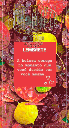 BOA NOITE3.gif