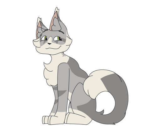 IMG 6784.png