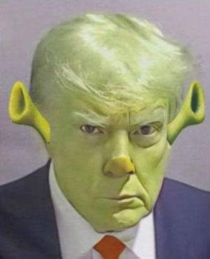 Trump Mugshot Shrek Meme Shirt.png
