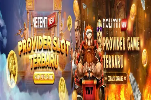 11.webp
