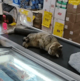 这个是老板，不卖！.gif