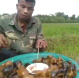 此刻乌鸦哥附体.gif