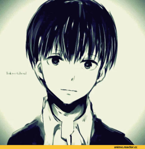 Tokyo Ghoul Anime Ken Kaneki 2626811.gif