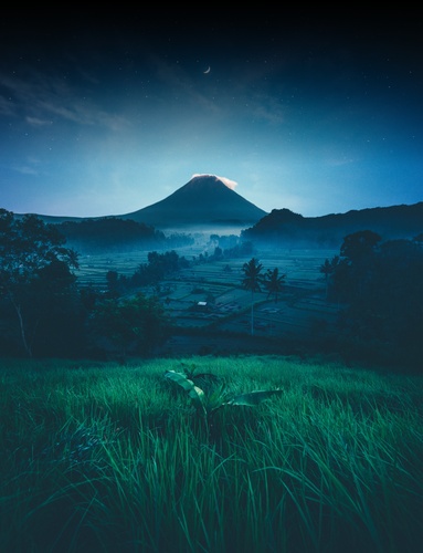 land.png