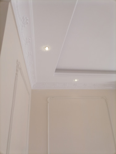 IMG 20230610 155319.jpg