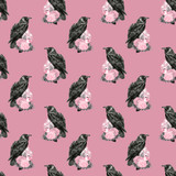 ravenpinkbg