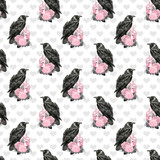 ravenwhitebg