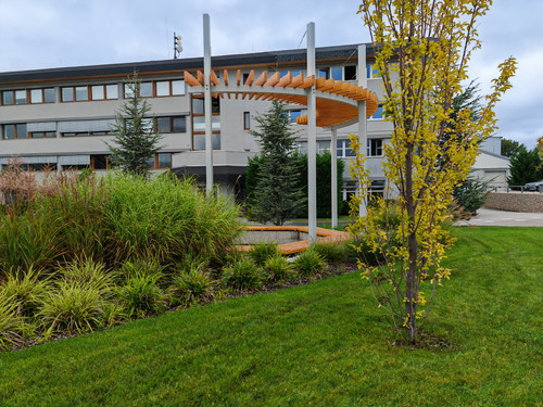 IMG 20230830 114153.jpg