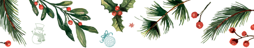 LM170823 Lapland FTDs Letterhead header.png