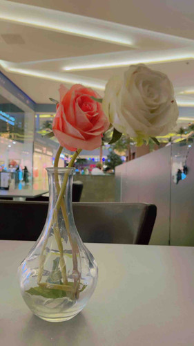 042D0645 E6DE 4DF9 BCF0 CA57729A6DB2.jpg