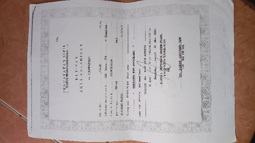 scaled 1c4b052a b114 40f0 83ed cbb80829d7f78208158281481082874.jpg