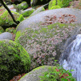 d792283fb4.gif