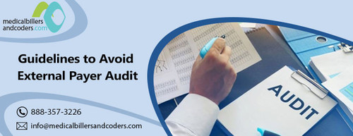 Guidelines to Avoid External Payer Audit.jpg