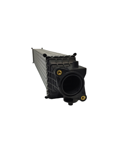 PhotoRoom 20230829 132818.png