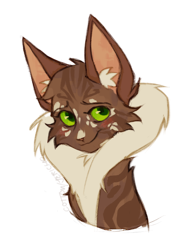 IMG 0255.png