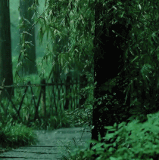 t1fba.gif