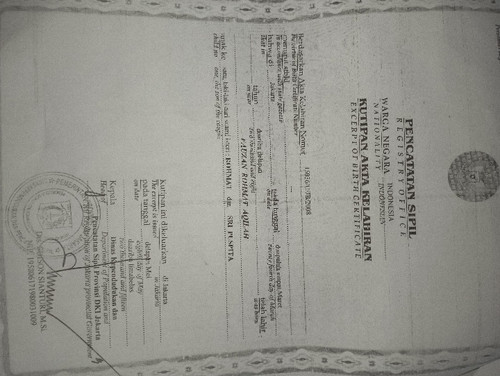 scaled 4d29ec72 2d41 4d54 bb17 41a06552a7776531219657442850675.jpg