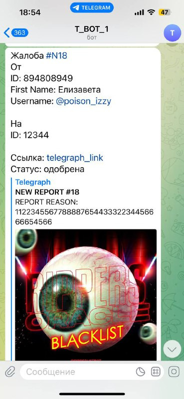 d519eecdabaa.jpg