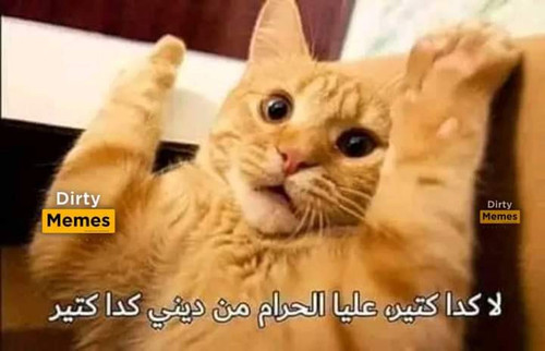 FB IMG 1693328991530.jpg