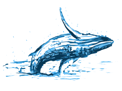 Ballena.png