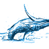 Ballena