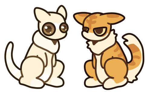 IMG 8295.png