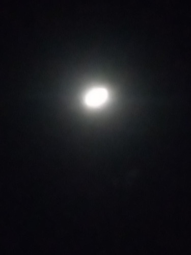 IMG 20230829 235859 589.jpg