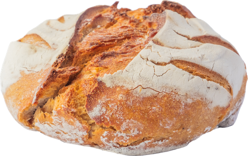 sourdough.png