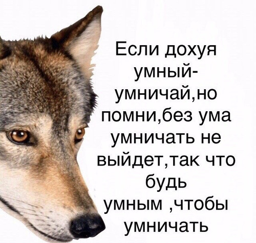 L4EMxpMM1KQ.jpg