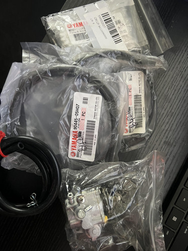 RZ350 Oil Injection Pump.jpg