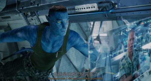 Avatar.The.Way.of.Water.2022.UHD.Blu ray.2160p.10bit.DoVi.2Audio.TrueHD(Atmos).7.1.x265 beAst.mkv 20.png