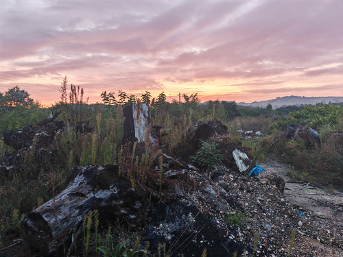 IMG 20230831 060703.jpg