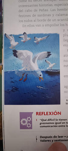 IMG 20230831 114424.jpg