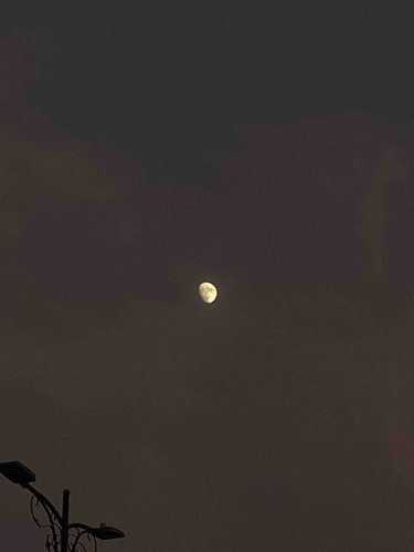 C8D70FD7 586A 4AAB 9829 4DEDB1F1F1C6.jpg