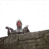 IMG 8396.gif