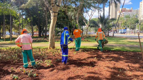 c70a76c1 8784 4c17 9140 5b7a176b3be2.jpg