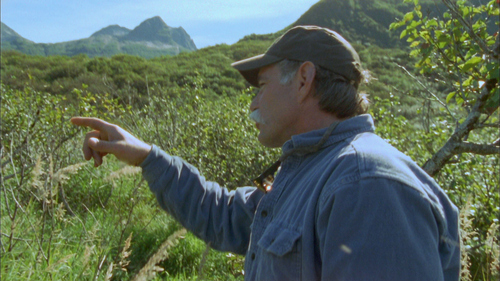 Grizzly.Man.2005.VOSTFR.1080p.BluRay.DTSHD MA.h264.Remux OKI 003.png