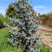 IMG 20230825 160429.jpg